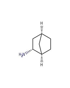 Astatech EXO-NORBORNANAMINE; 1G; Purity 95%; MDL-MFCD00078132